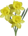 0002~Frühling